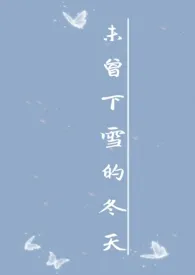 未曾下雪的冬天(h)
