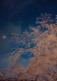归山 (NP)