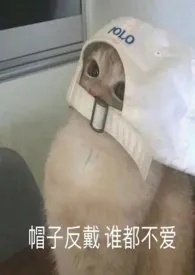 馋他身子(纯情少男vs伪御姐)