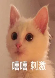 【GB】非也然也,霏也燃也(1V1,微H)