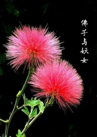 佛子与妖女(GB女攻)