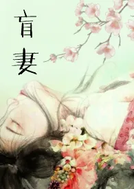 盲妻(高H NP)