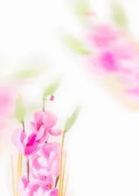 桃花降(1v1 h)