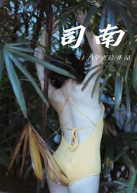 司南(1v1,sc,高h)