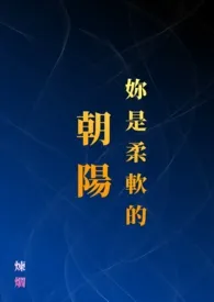 《妳是柔软的朝阳》1v1(简体版)