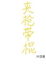 夹枪带棍(短篇合集H)