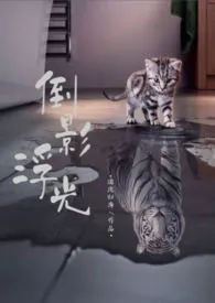 倒影浮光(1v2)