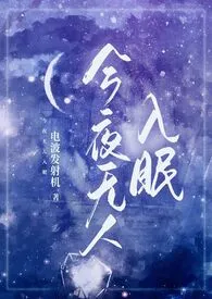 今夜无人入眠(NP)