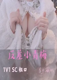 反差小青梅(1V1SC粗口)