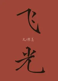 飞光(剧情h)