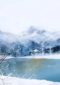 傲梅雪中殇(NP)