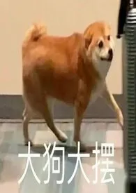 BTS:出道还包分配老公?
