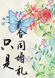 光夜:只是合同婚礼(all推,1v1肉文)