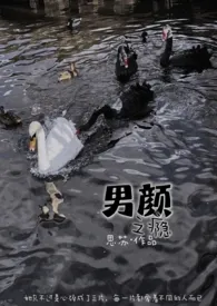 男颜之瘾(NP)
