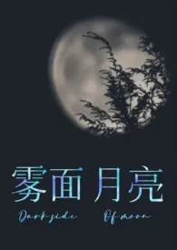 雾面月亮(1V1悬疑剧情犯罪刑侦向)