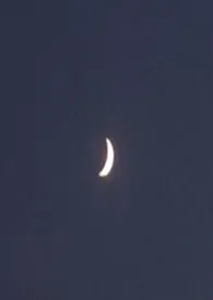 与星(H)