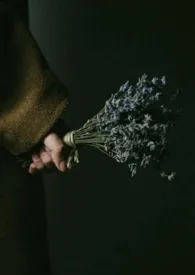 柔软的她(重生1v1)