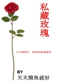 私藏玫瑰(1V1 H)