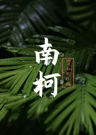 南柯(现言,年上,1V1)
