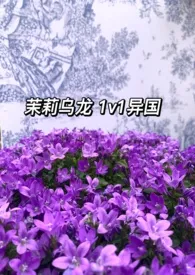 茉莉乌龙(1v1异国)