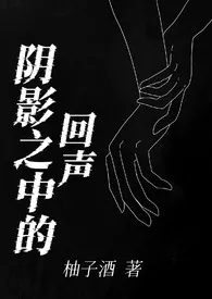 阴影之中的回声(百合h)