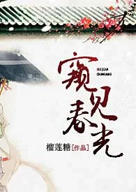 窥见春光【古言,NP】