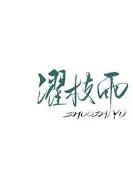濯枝雨(破镜重圆1v1)