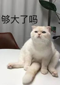 病娇A诱她上瘾(双A主攻 1v1 百合ABO)