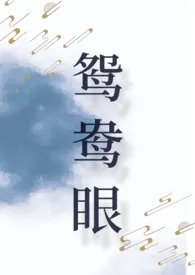 鸳鸯眼(古代 高h 短篇)