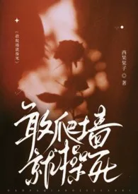 敢爬墙就操死(1v2)