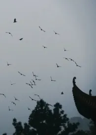 解连环(骨科)
