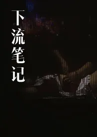 下流笔记,【真实】SM圈内往事