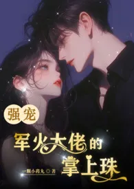 强宠,军火大佬的掌上珠