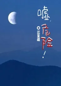 嘘,危险(1v2)