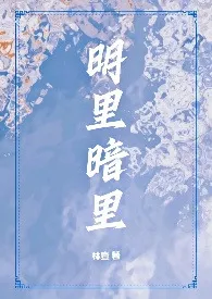 《明里暗里(1v2,兄弟盖饭)》