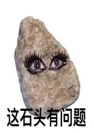 我石故我在(纯百)