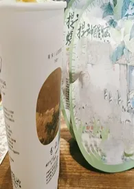 柠檬加盐气泡水(兄妹骨)