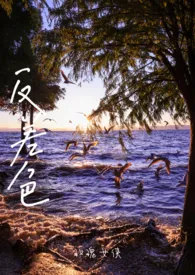 反差色(骨科)