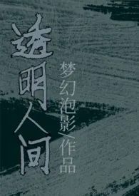 透明人间(1v1sc,高h、透明人)