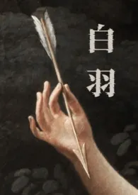 白羽(强制)